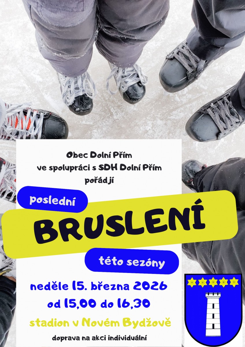 Společné bruslení